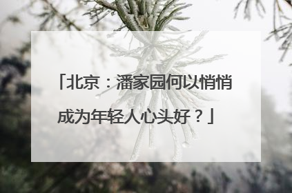 北京：潘家园何以悄悄成为年轻人心头好？