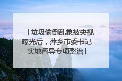 垃圾偷倒乱象被央视曝光后，萍乡市委书记实地督导专项整治