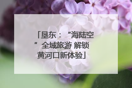 垦东：“海陆空”全域旅游 解锁黄河口新体验