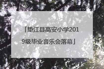 垫江县高安小学2019级毕业音乐会落幕