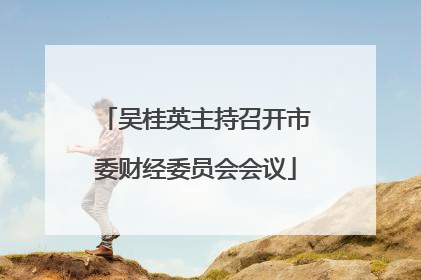 吴桂英主持召开市委财经委员会会议
