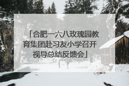 合肥一六八玫瑰园教育集团赴习友小学召开视导总结反馈会