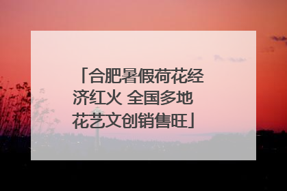合肥暑假荷花经济红火 全国多地花艺文创销售旺