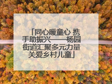 同心暖童心 携手助振兴——杨园街道汇聚多元力量关爱乡村儿童