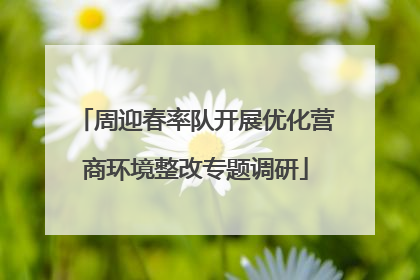 周迎春率队开展优化营商环境整改专题调研