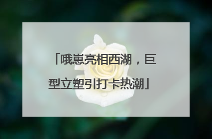 哦崽亮相西湖，巨型立塑引打卡热潮