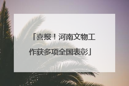 喜报！河南文物工作获多项全国表彰
