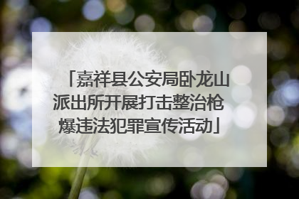 嘉祥县公安局卧龙山派出所开展打击整治枪爆违法犯罪宣传活动