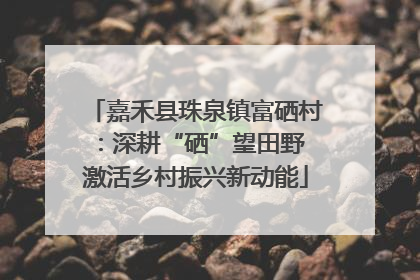 嘉禾县珠泉镇富硒村：深耕“硒”望田野 激活乡村振兴新动能