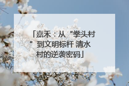 嘉禾：从“拳头村”到文明标杆 清水村的逆袭密码