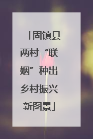 固镇县两村“联姻”种出乡村振兴新图景