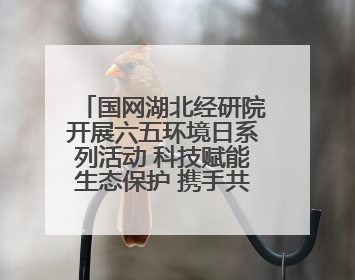 国网湖北经研院开展六五环境日系列活动 科技赋能生态保护 携手共建绿色电网
