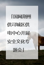 国网荆州供司城区供电中心开展安全文化专题会