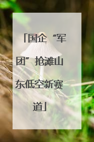 国企“军团”抢滩山东低空新赛道