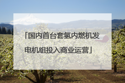 国内首台套氢内燃机发电机组投入商业运营