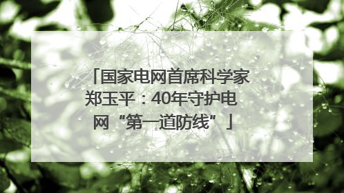 国家电网首席科学家郑玉平：40年守护电网“第一道防线”