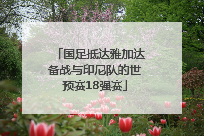 国足抵达雅加达备战与印尼队的世预赛18强赛