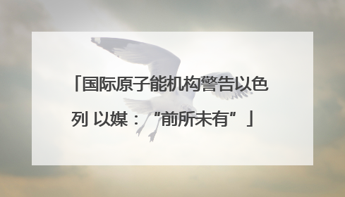 国际原子能机构警告以色列 以媒：“前所未有”