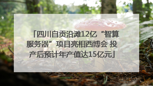 四川自贡沿滩12亿“智算服务器”项目亮相西博会 投产后预计年产值达15亿元
