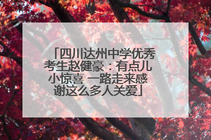四川达州中学优秀考生赵健豪：有点儿小惊喜 一路走来感谢这么多人关爱