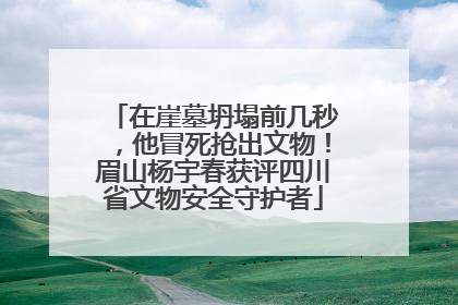 在崖墓坍塌前几秒，他冒死抢出文物！眉山杨宇春获评四川省文物安全守护者