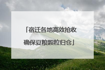 宿迁各地高效抢收 确保夏粮颗粒归仓