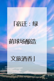 宿迁：绿荫球场酿造文旅酒香