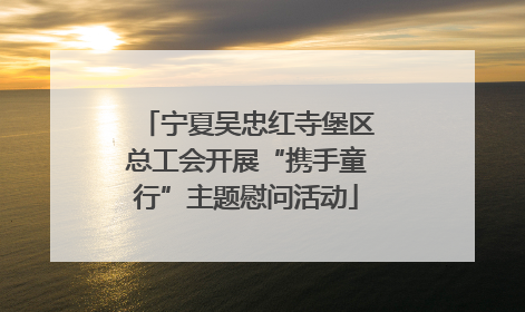 宁夏吴忠红寺堡区总工会开展“携手童行”主题慰问活动