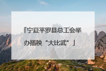 宁夏平罗县总工会举办插秧“大比武”