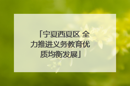 宁夏西夏区 全力推进义务教育优质均衡发展