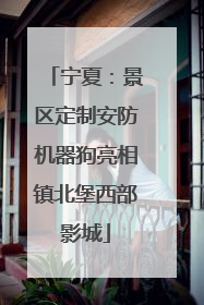 宁夏：景区定制安防机器狗亮相镇北堡西部影城