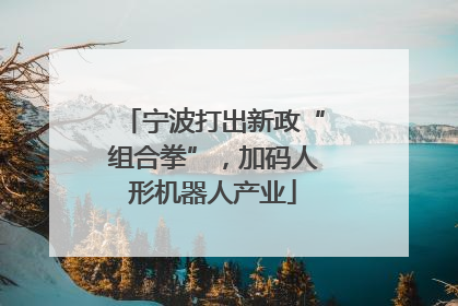 宁波打出新政“组合拳”，加码人形机器人产业