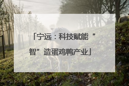 宁远：科技赋能“智”造蛋鸡鸭产业