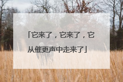 它来了，它来了，它从催更声中走来了