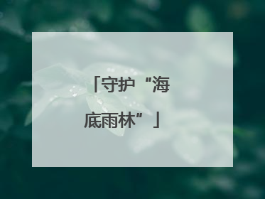 守护“海底雨林”