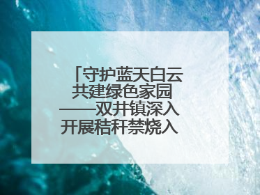 守护蓝天白云 共建绿色家园——双井镇深入开展秸秆禁烧入户宣传活动