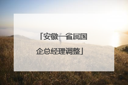 安徽一省属国企总经理调整
