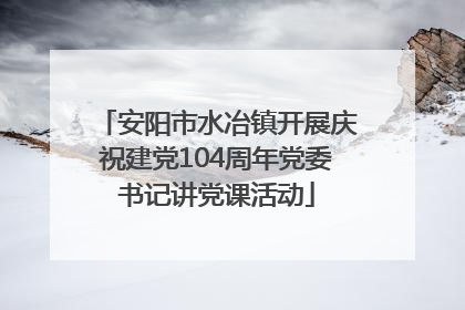 安阳市水冶镇开展庆祝建党104周年党委书记讲党课活动