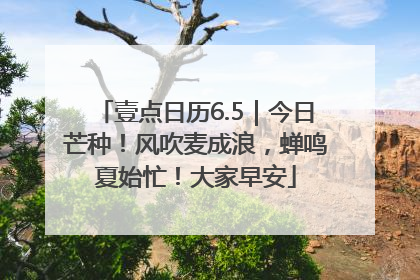 壹点日历6.5｜今日芒种！风吹麦成浪，蝉鸣夏始忙！大家早安