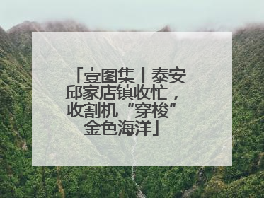 壹图集丨泰安邱家店镇收忙，收割机“穿梭”金色海洋