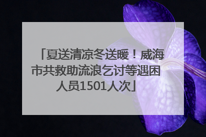 夏送清凉冬送暖！威海市共救助流浪乞讨等遇困人员1501人次