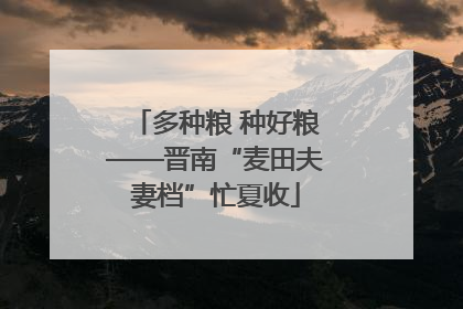 多种粮 种好粮——晋南“麦田夫妻档”忙夏收