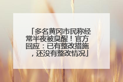 多名黄冈市民称经常半夜被臭醒！官方回应：已有整改措施，还没有整改情况