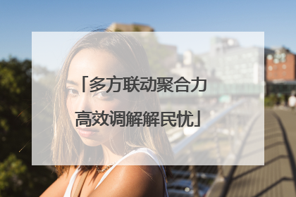 多方联动聚合力 高效调解解民忧