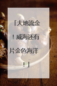 大地流金！威海还有片金色海洋！