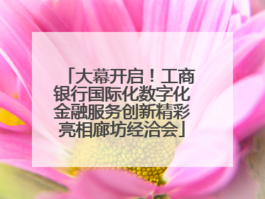 大幕开启！工商银行国际化数字化金融服务创新精彩亮相廊坊经洽会
