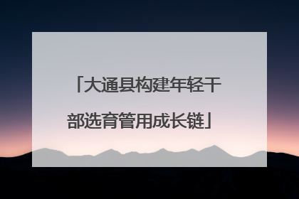 大通县构建年轻干部选育管用成长链