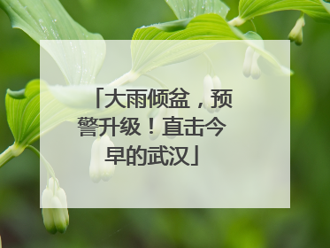 大雨倾盆，预警升级！直击今早的武汉