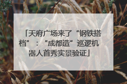 天府广场来了“钢铁搭档”：“成都造”巡逻机器人首秀实景验证