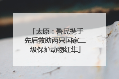 太原：警民携手 先后救助两只国家二级保护动物红隼